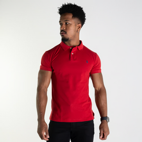 Kit 3 Ralph Lauren Polo Shirts